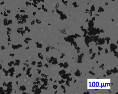 microscopic images of the Terephtalic acid powder